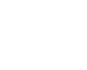 Honda Special Display